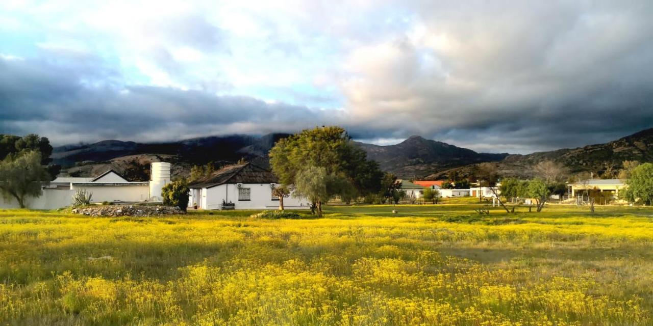 Harry'S Place Guesthouse Kamieskroon Exterior foto